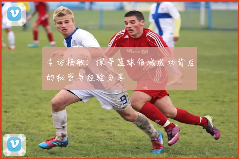 专访杨敏：探寻篮球领域成功背后的秘密与经验分享
