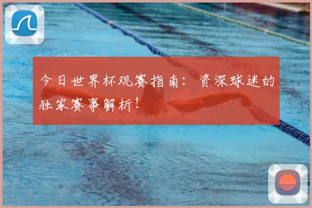 今日世界杯观赛指南:资深球迷的独家赛事解析!
