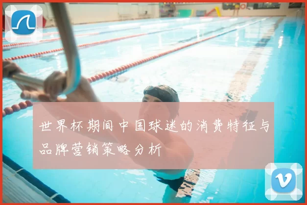世界杯期间中国球迷的消费特征与品牌营销策略分析