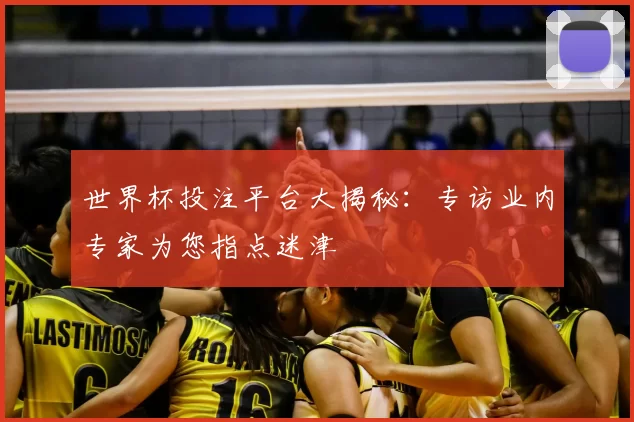 世界杯投注平台大揭秘:专访业内专家为您指点迷津