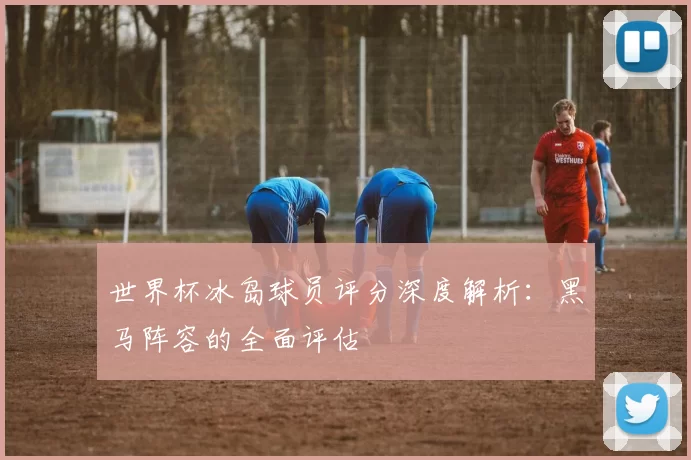 世界杯冰岛球员评分深度解析：黑马阵容的全面评估