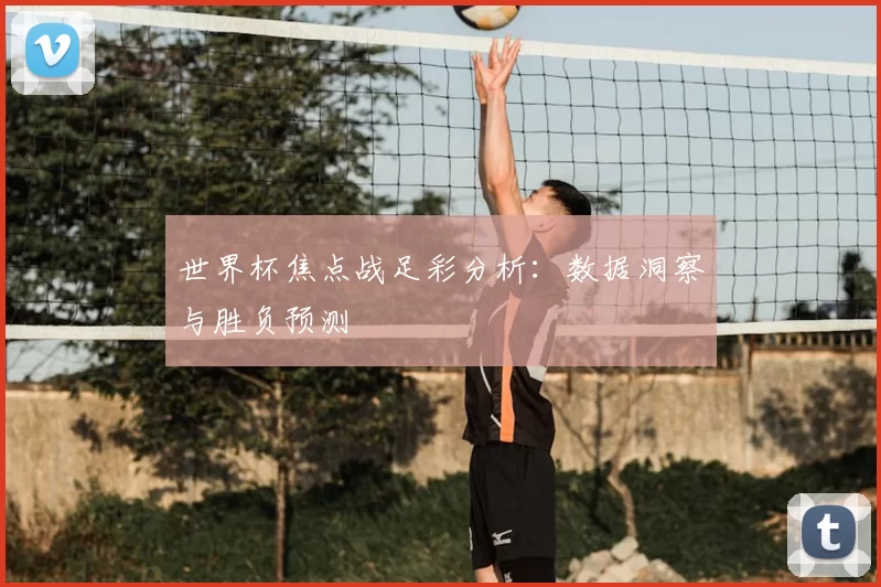 世界杯焦点战足彩分析：数据洞察与胜负预测