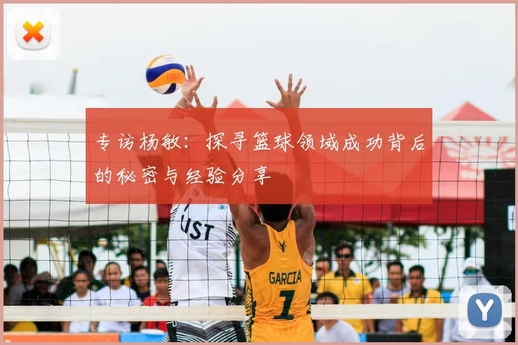 专访杨敏:探寻篮球领域成功背后的秘密与经验分享
