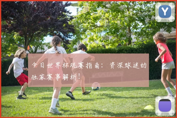 今日世界杯观赛指南：资深球迷的独家赛事解析！