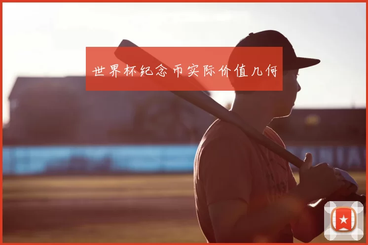 世界杯纪念币实际价值几何