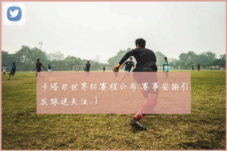 卡塔尔世界杯赛程公布 赛事安排引发球迷关注_1