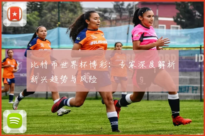 比特币世界杯博彩：专家深度解析新兴趋势与风险