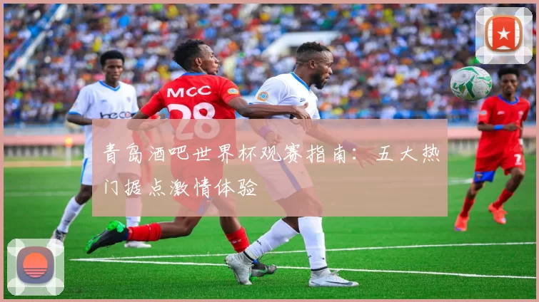 青岛酒吧世界杯观赛指南:五大热门据点激情体验