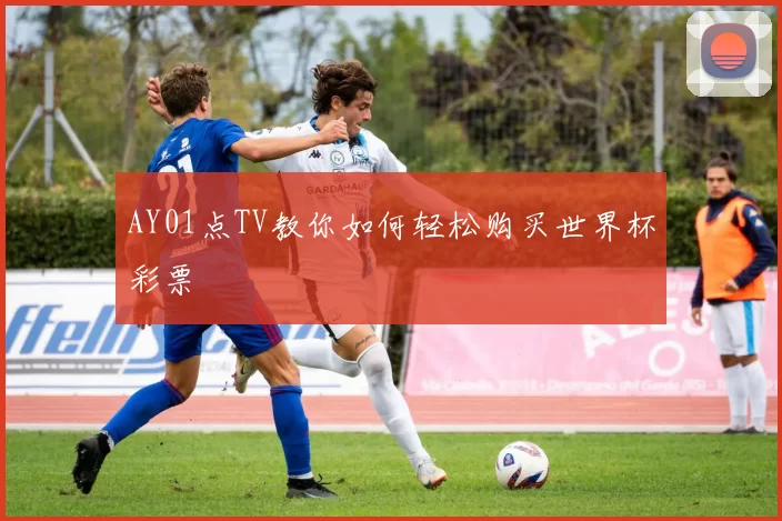 AY01点TV教你如何轻松购买世界杯彩票