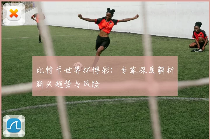 比特币世界杯博彩:专家深度解析新兴趋势与风险